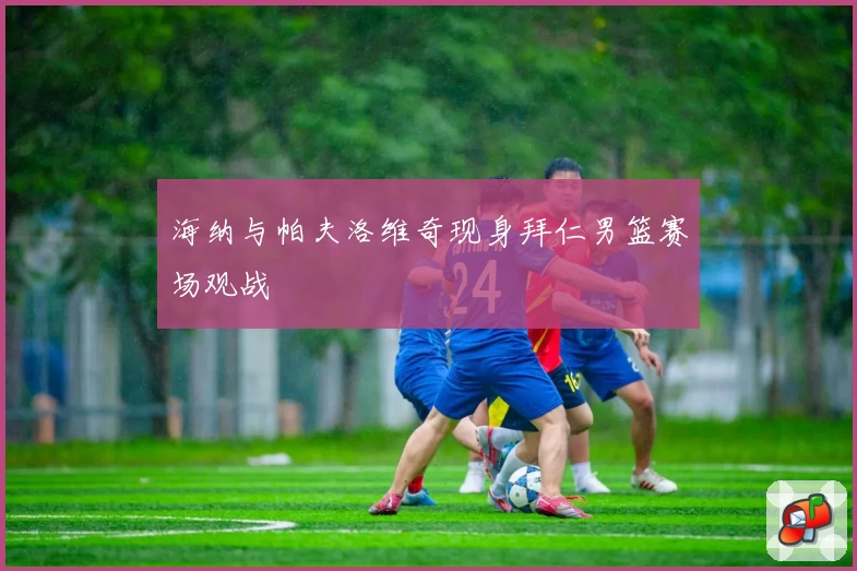 海纳与帕夫洛维奇现身拜仁男篮赛场观战