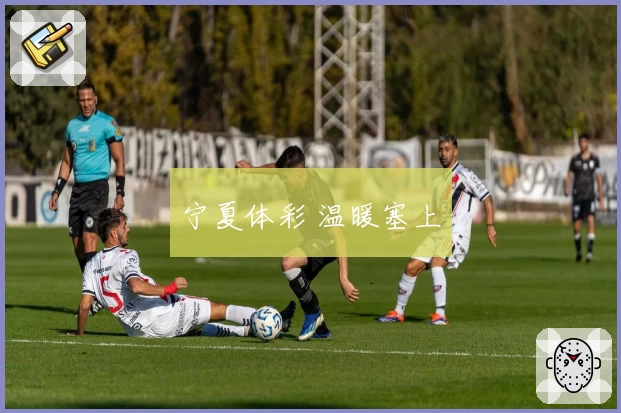 宁夏体彩 温暖塞上