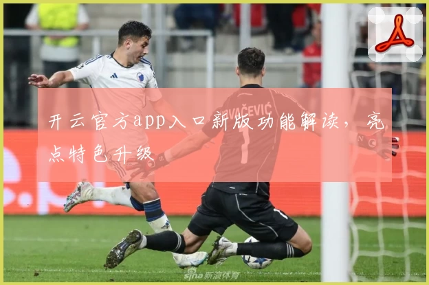 开云官方app入口新版功能解读，亮点特色升级