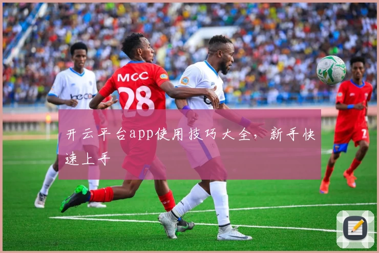 开云平台app使用技巧大全，新手快速上手