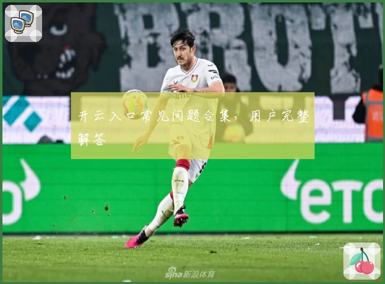 开云入口常见问题合集，用户完整解答